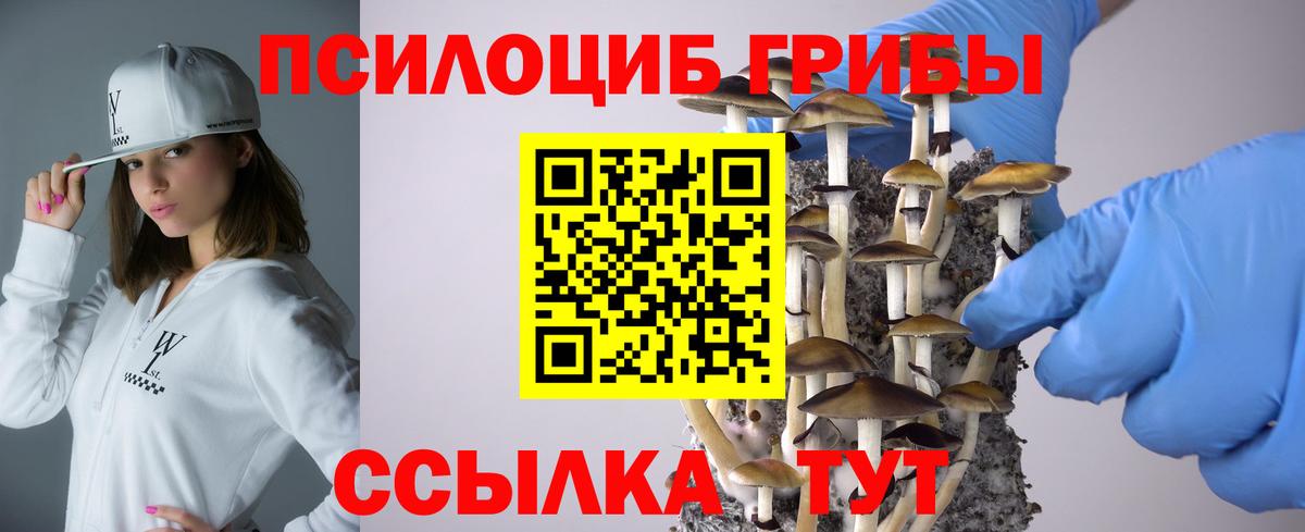Ипатово  Псилоцибиновые грибы мухоморы  наркотики  Вход с VPN  Галлюциногенные грибы Psilocybine cubensis 