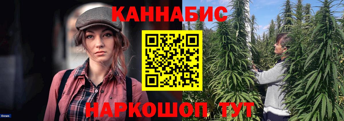 Канабис ГИДРОПОН  МАРИХУАНА Amnesia  Ипатово  Конопля VHQ  Вход с VPN 